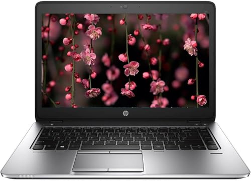 HP Elitebook 725 G3 Business Laptop 12,5 pollici, AMD Pro A10-8730B, 8 GB RAM, SSD da 256 GB, tastiera USA, Windows 10 Pro (ricondizionato)