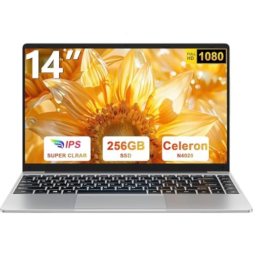 2025 Newest PC Portatile 14 Pollici Notebook Laptop Win 11 256 GB ROM Celeron N4020 WiFi 5 upto 2.8 GHz Supporta l’espansione SSD 1TB 4.2 USB HDMI Tastiera Italiana Membrana Mouse Senza Fili-Sliver