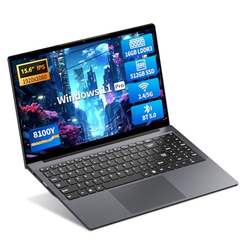 PC Portatile 15.6 Pollici, Win 11 Notebook Core I3-8100Y CPU, Notebook 16GB RAM 512GB SSD, Laptop 1080P IPS FHD Schermo, Portatile con Type-C+TF Card Slot+Mini HDMI+USB3.0+Mini-HDMI+BT5+Webcam+WIFI5